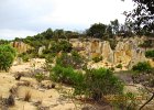 2013 02 06 Dongara nach Palmyra 045